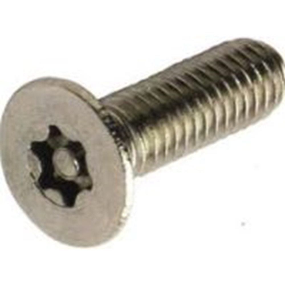 4x RVS Resistorx M4x10 security screw