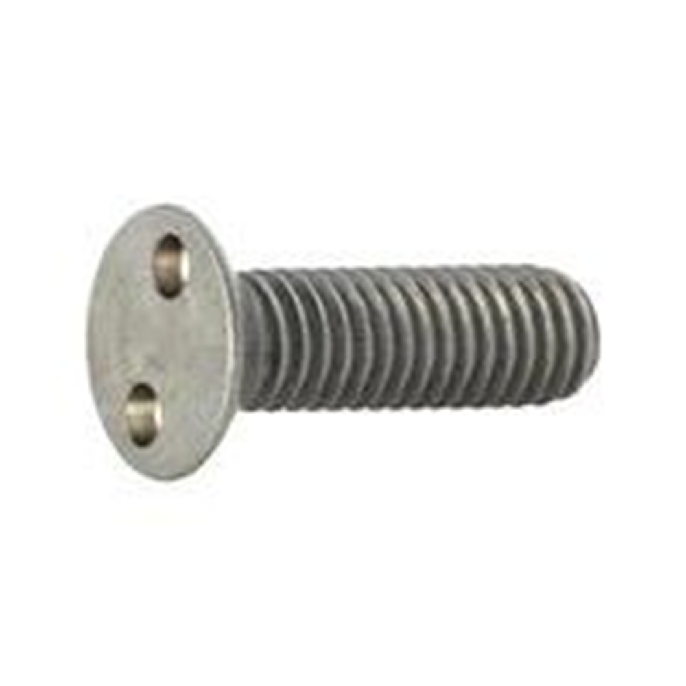 4xRVS securety screw M4x10mm